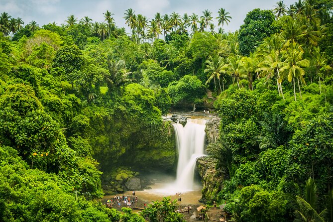 Ubud waterfall, rice terraces, and swing explore - A private car changes the feel of the day