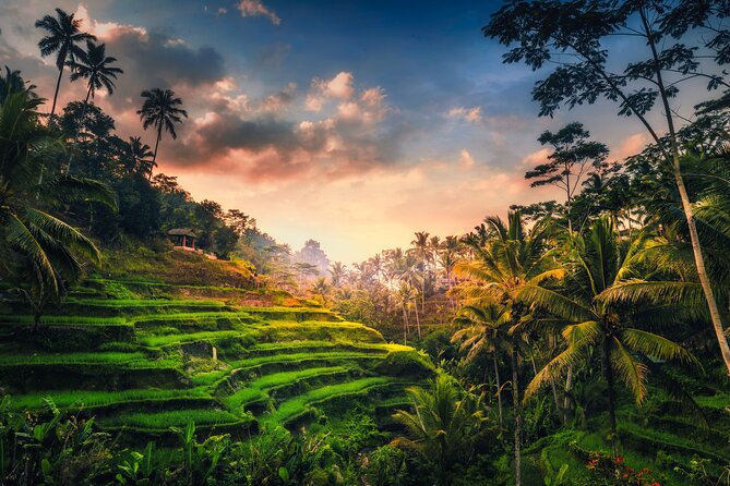 Ubud waterfall, rice terraces, and swing explore - Tegalalang turns rice farming into a famous view