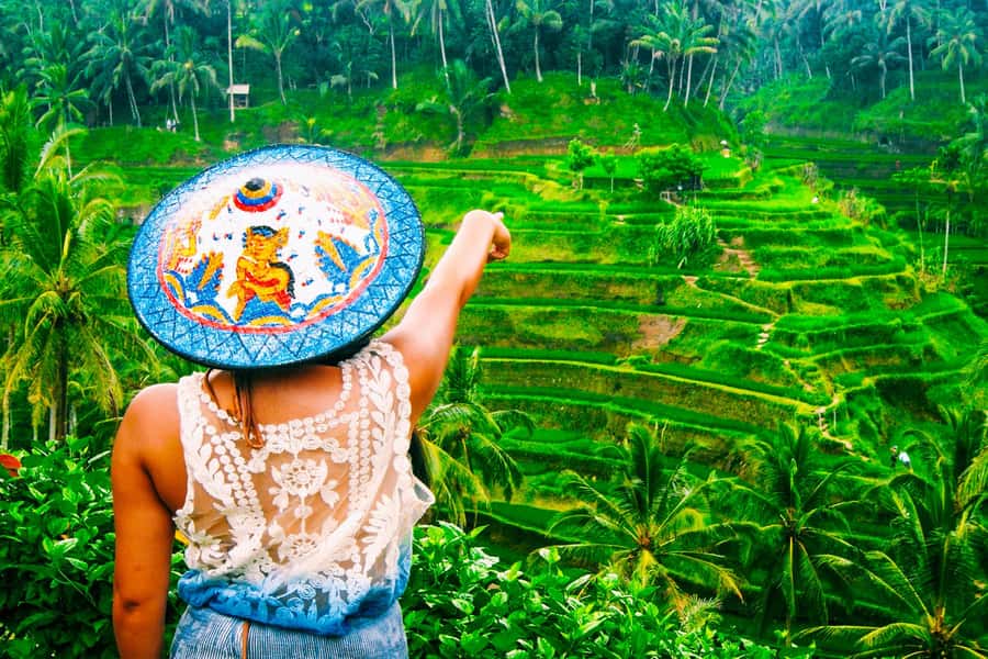 Ubud: Waterfall, Rice Terraces & Monkey Forest Tour - Key points to know before booking