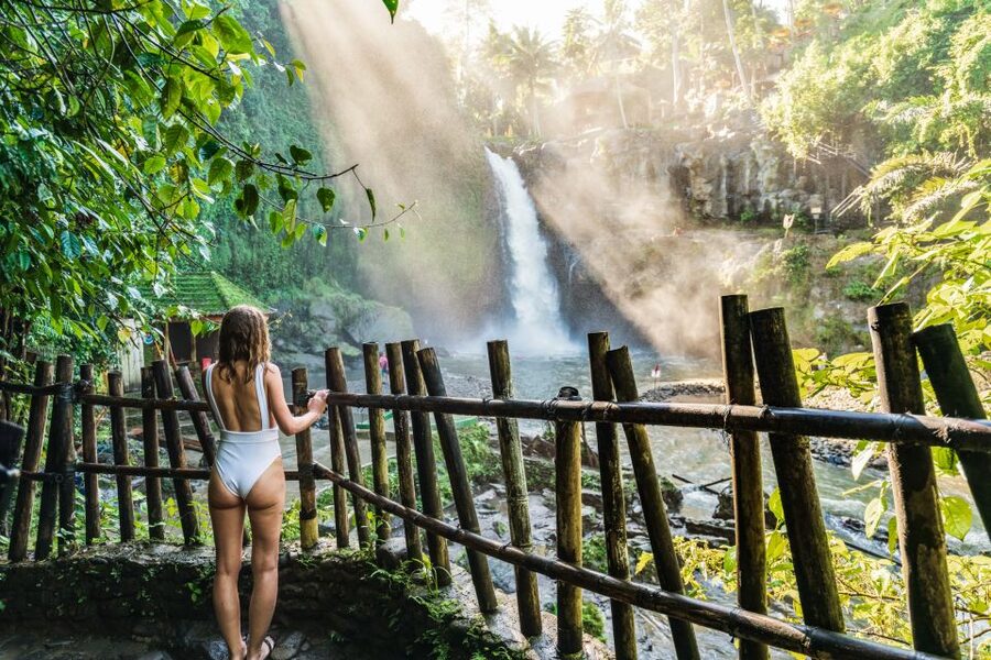 Ubud: Waterfall, Rice Terraces & Monkey Forest Tour - Coffee plantation and Luwak coffee