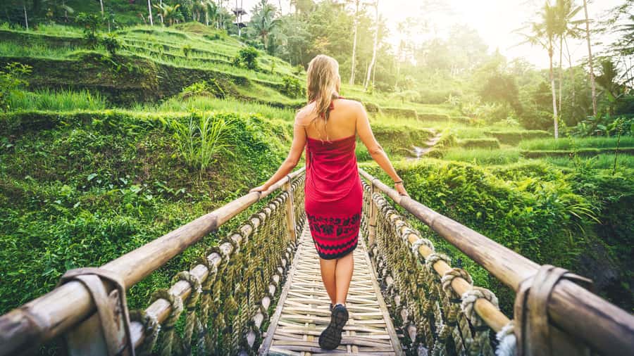 Ubud: Waterfall, Rice Terraces & Monkey Forest Tour - Tegenungan Waterfall, a refreshing stop with a wet side