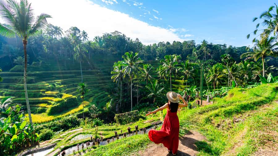 Ubud: Waterfall, Rice Terraces & Monkey Forest Tour - Mas Village and Balinese woodcarving