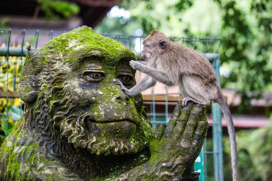 Ubud: Waterfall, Rice Terraces & Monkey Forest Tour - Batuan Temple, where Bali’s art is part of worship