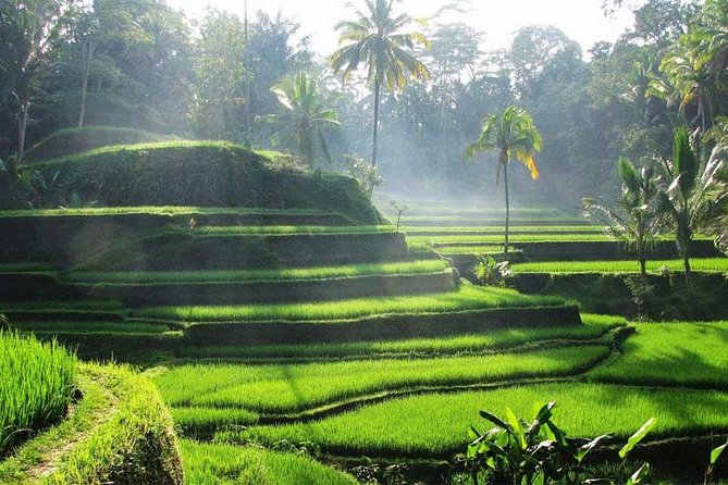 Ubud Waterfall Tour - Celuk Village and Bali’s Craft Traditions