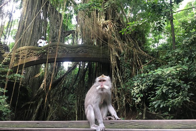 Ubud: Waterfalls, Rice Terraces, and Monkey Forest Private Tour - Tegenungan Waterfall: The Day’s Cooling Break