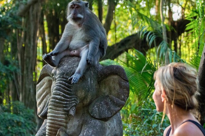 Ubud: Waterfalls, Rice Terraces, and Monkey Forest Private Tour - Puseh Batuan Temple: A Quiet Cultural Opening