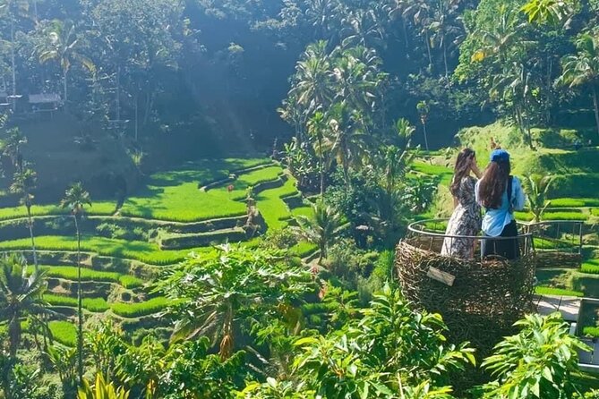 Ubud Waterfalls, Temple & Rice Terrace Guided Tour - Why the private guide matters