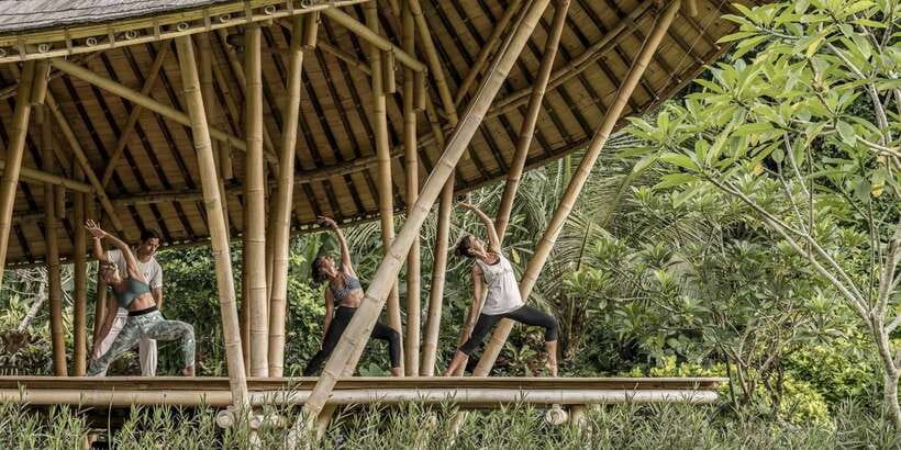 Ubud: Wellness Retreat with Massage, Yoga Class, and Lunch - Key points to know before booking