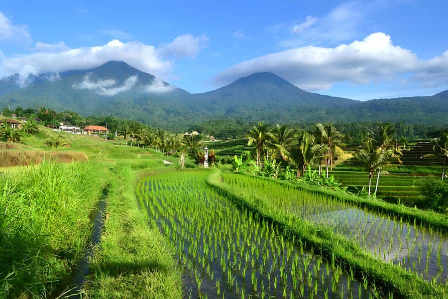 Ulun Danu Beratan, Jatiluwih, & Tanah Lot Private Tour - A full day from Bali’s south to the mountain country