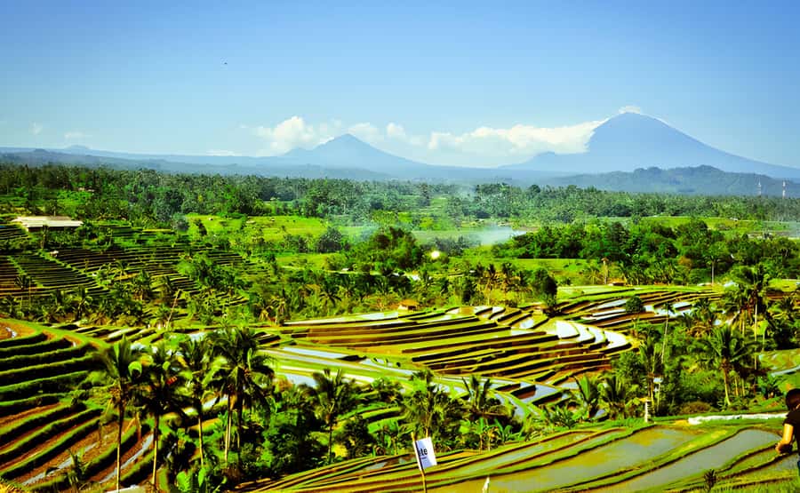 Ulun Danu Beratan, Jatiluwih, & Tanah Lot Private Tour - Jatiluwih, where the rice terraces take over the view