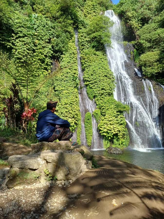 Ulun Danu, Handara Gate & Banyumala – Private Highlands Tour - Who should book this private highlands tour?
