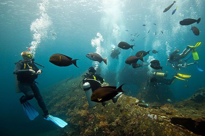 USS Liberty Shipwreck Scuba Diving at Tulamben Bali - Getting ready on the beach