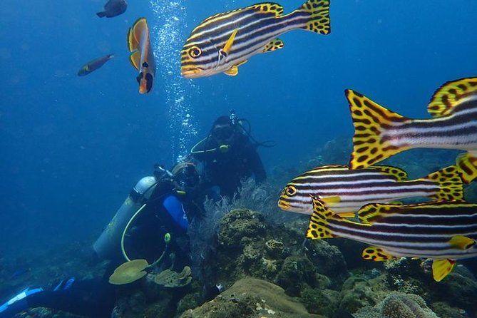 USS Liberty Shipwreck Scuba Diving at Tulamben Bali - Lunch, showers, and a useful surface break