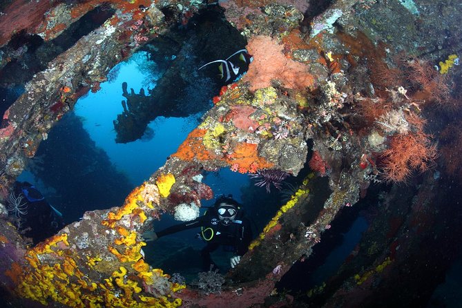 USS Liberty Shipwreck Scuba Diving at Tulamben Bali - Photos, equipment, and small extra costs