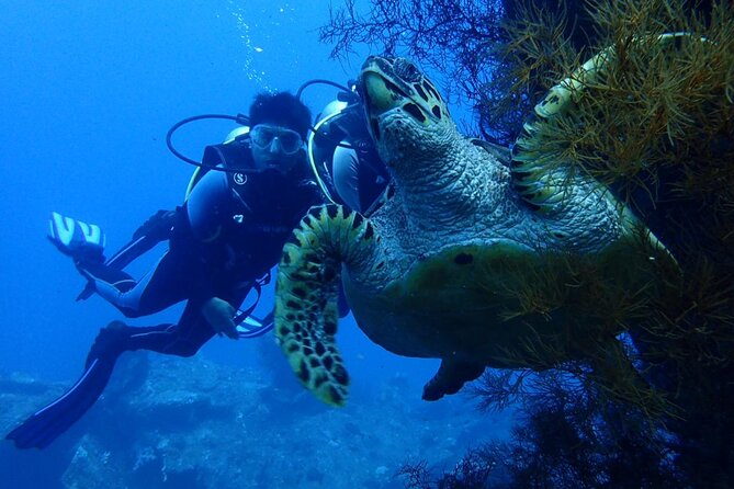 USS Liberty Shipwreck Scuba Diving at Tulamben Bali - Your 8:00 am start and long road to Tulamben
