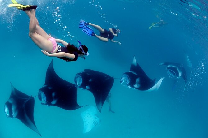 VIP Private Boat to Nusa Penida: Snorkeling with Mantas + Land Tour Adventure - Equipment, guide support and small comforts