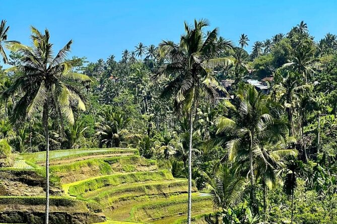 Welcome Pickups Bali Transfer - The airport meeting process and driver contact