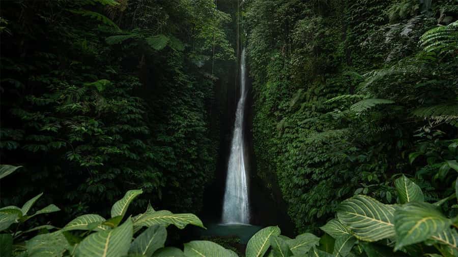 West Bali: Jatiluwih Rice Terrace and Tanah Lot Sunset Tour - Leke Leke Waterfall and the short forest walk
