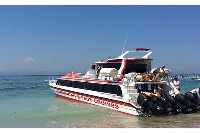West Nusa Penida Full-Day Private Tour - Kelingking Beach: the big view and the biggest crowd