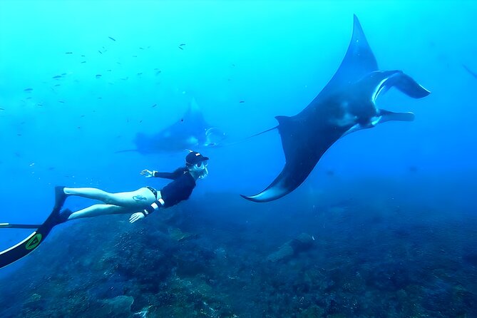 West Nusa Penida Island Snorkeling Tour - From Bali Island - Key points before you book