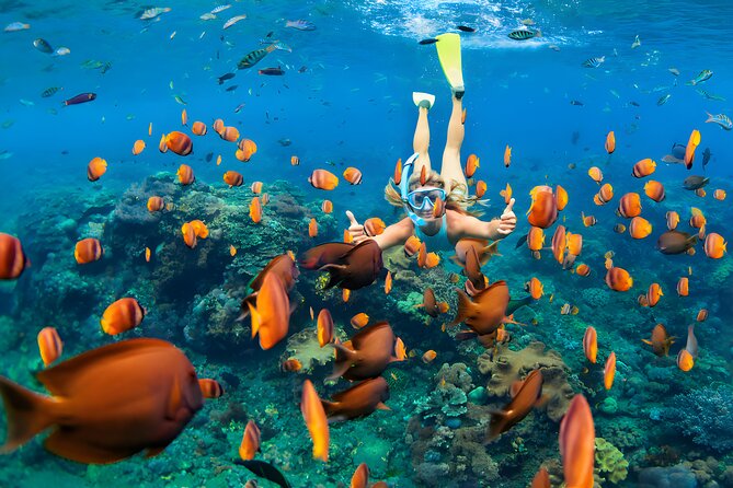 West Nusa Penida Island Snorkeling Tour - From Bali Island - A 6:30 am start makes the day possible