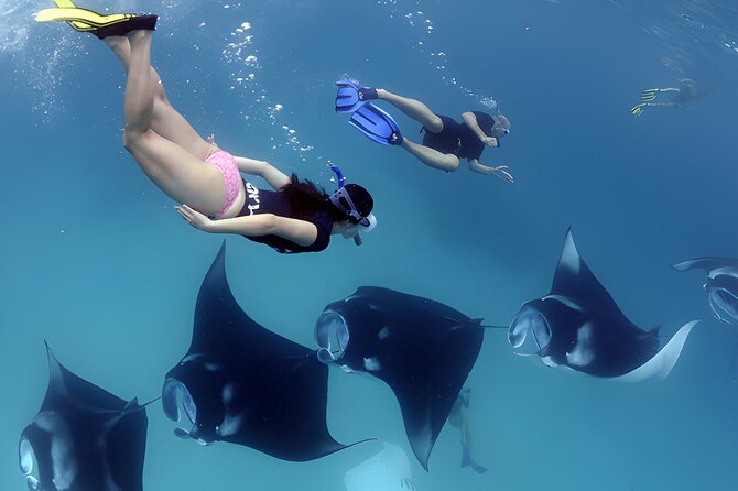 West Nusa Penida Island Snorkeling Tour - From Bali Island - Crystal Bay: coral, fish, and possible turtles