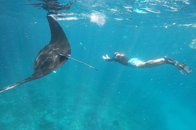 West Nusa Penida With Snorkeling Private Guided Tour - Kelingking Beach and the famous cliff view