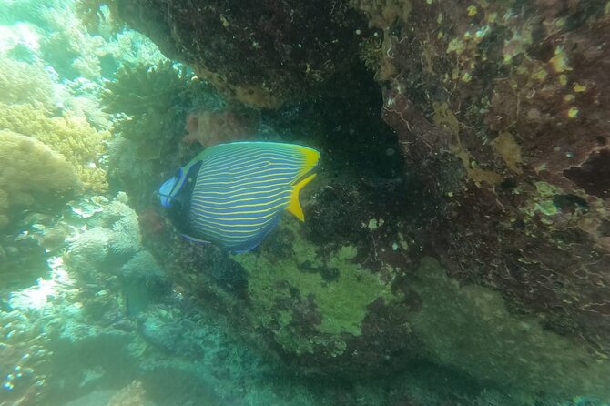 West Nusa Penida With Snorkeling Private Guided Tour - Booking details worth keeping in mind
