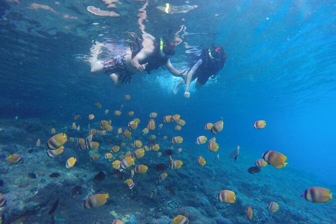 West Nusa Penida With Snorkeling Private Guided Tour - Angel’s Billabong and Broken Beach